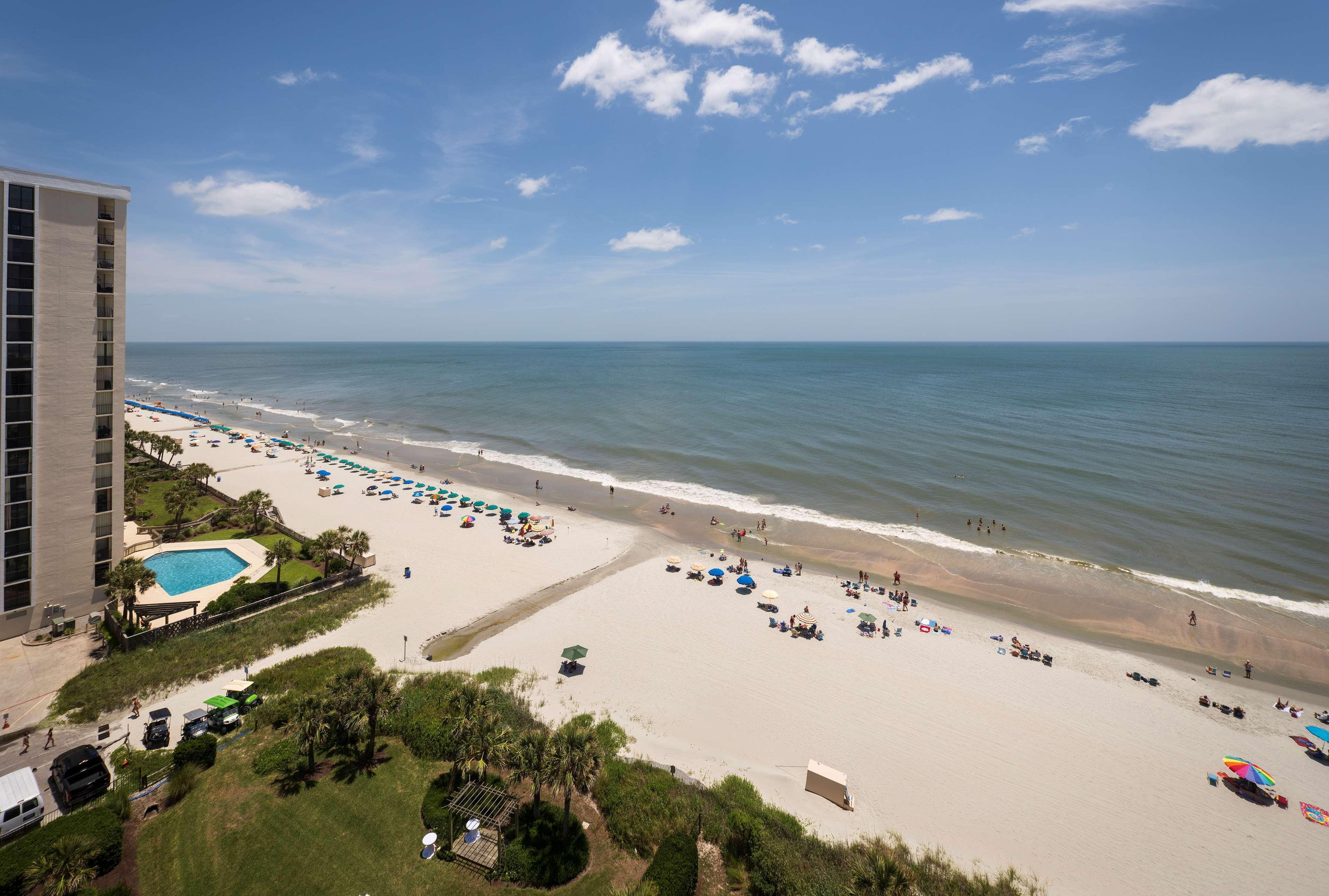 Hilton Myrtle Briarcliffe Acres